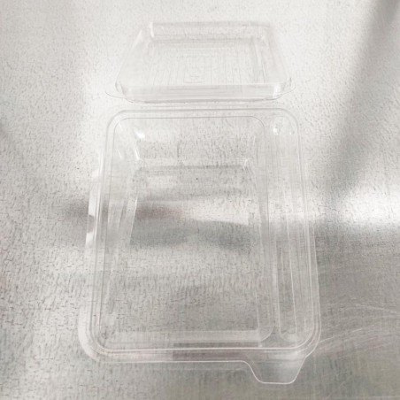 Clear Container for Cake Slice