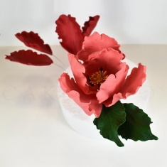 Σετ Κουπάτ και Veiner για Πέταλα Τουλίπας Παπαγάλου - Flower Master Series