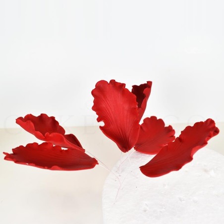 Cutters and Veiners Set for Parrot Tulip Petals - Flower Master Series