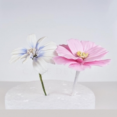 Cutters and Veiners Set for Cosmos Petals - Flower Master Series