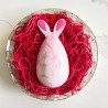 Easter Egg with Ears 250g Special Chocolate Mold