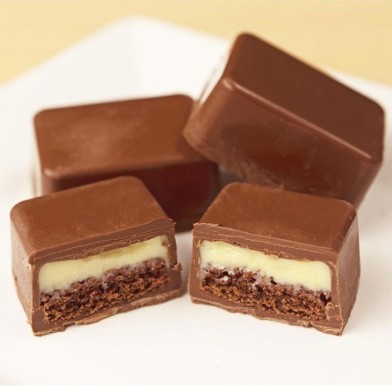 Special Chocolate Mold for Rectangular Truffles 60g SP