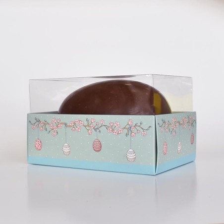 High Transparent Lid for Box 22x15 with H13cm