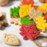 Autumn Leaves Set of 3 Plastic Cookie Cutters by Decora
