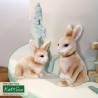 Rabbits Silicone Mould