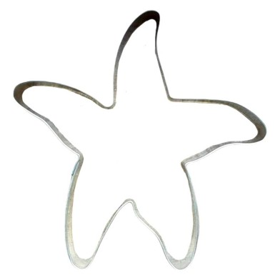 Αστερίας Inox Κουπάτ Μπισκότου 7,5×7,5εκ.