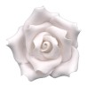 White Open Rose 7cm Hand made Edible Flower