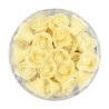 Champagne Colored Roses Set of 40 - 2cm