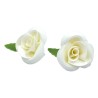 White Roses Set of 5 - 5cm
