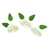 White Roses Set of 3 - 6cm