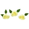 Champagne Colored Roses Set of 3 - 6cm