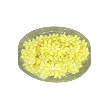 Yellow Daisies Set of 50 - 2cm