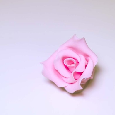 Pink Open Rose 5cm Hand made Edible Flower