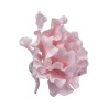 Pink Peony 7cm Hand Made Edible Flower Decoration