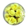 Yellow Roses Set of 15 - 3cm