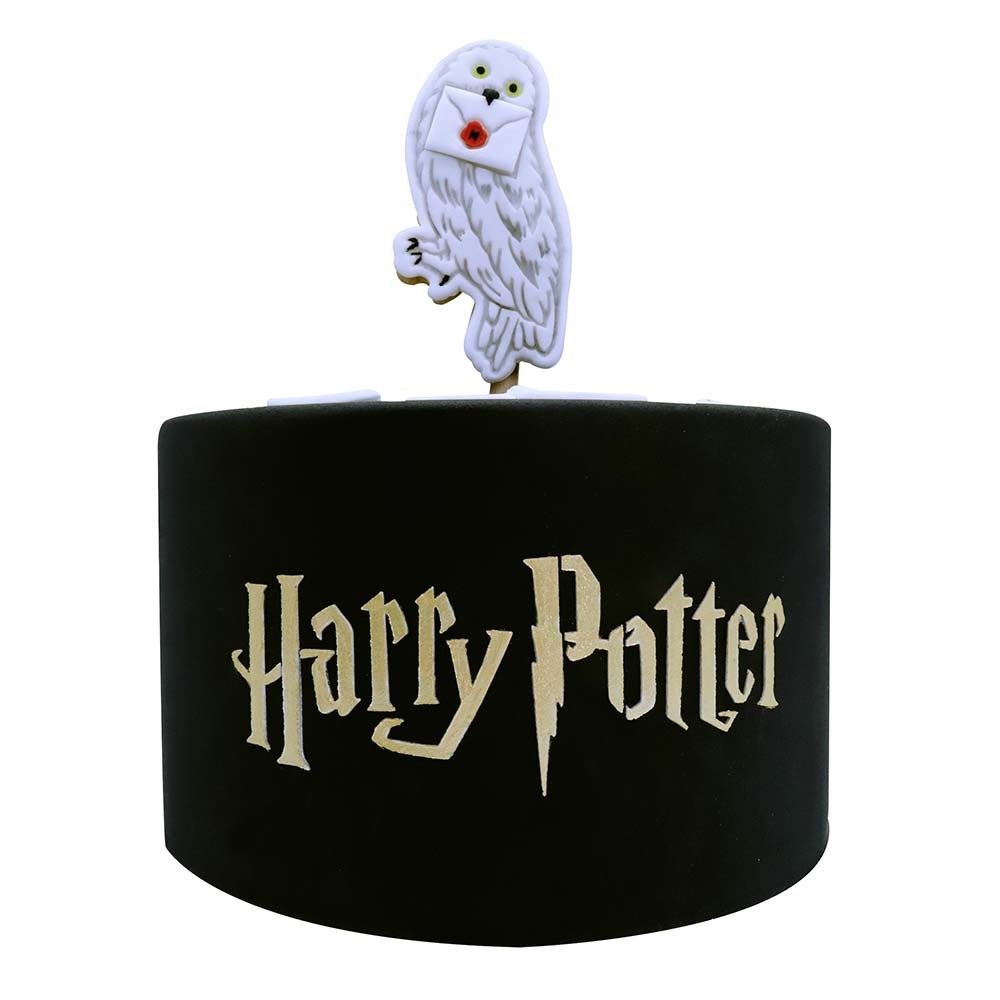 Fan Emblems Harry Potter Car Badge 3D HP Symbol (Gold) : Amazon.in: Car &  Motorbike