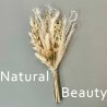 Natural Beauty Dried Dried Palm Spear Bouquet