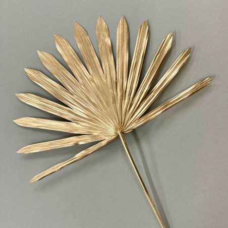 Gold Sun Palm Dried Dried Palm Spear