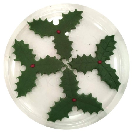 Poinsettia & Holly - Edible Christmas Decoration Set 7pcs