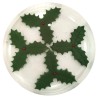 Poinsettia & Holly - Edible Christmas Decoration Set 7pcs