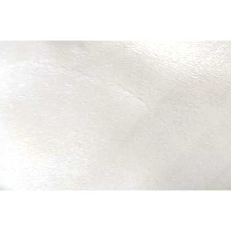 Pearl White Lustre Dust 10g Coloricious