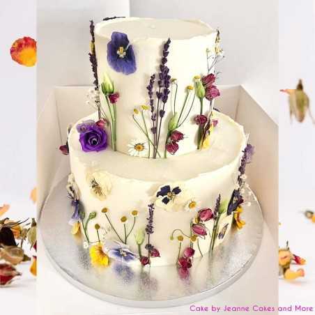 Pansy Color Mix 15 sticks by Rosie Rose