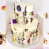 Pansy Color Mix 15 sticks by Rosie Rose
