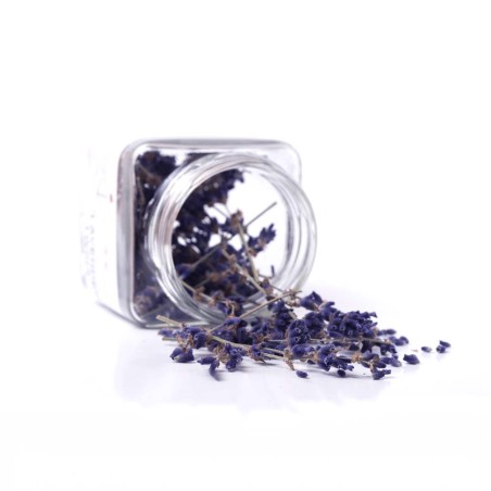 Edible Lavender Twigs 5g
