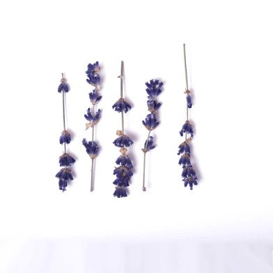 Edible Lavender Twigs 5g