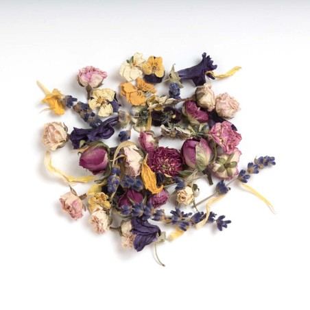 Fairy Garden Edible flowers Mix 10g