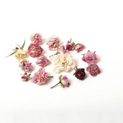 Edible Mini Wild Roses 20g