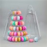 Transport Case for the 6 Tier Portable Macaron Display Stand