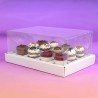 Clear Lid Box for 5oz 12 cavity Shooters Dim.5,35x5,35cm