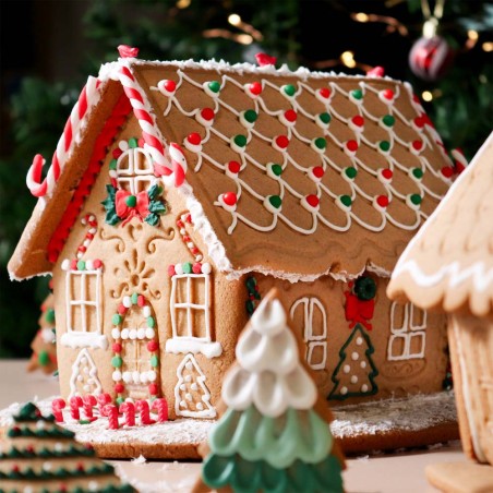 Gingerbread House Set of 3 Christmas Cookie Cutters & Stamps