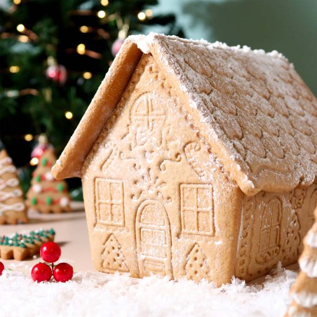 Gingerbread House Set of 3 Christmas Cookie Cutters & Stamps