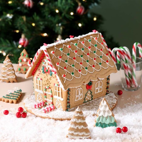 Gingerbread House Set of 3 Christmas Cookie Cutters & Stamps