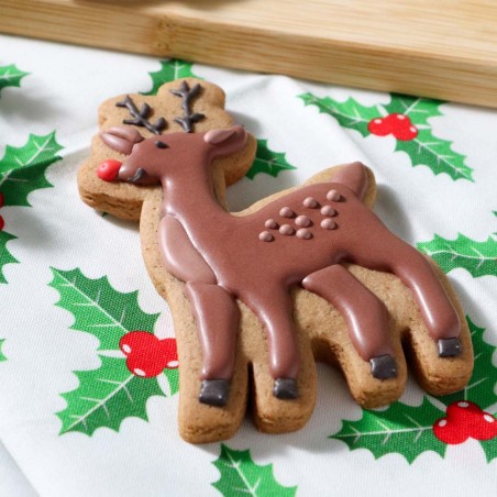 Santa's Workshop Set of 3 Christmas Cookie Cutters & Stamps 