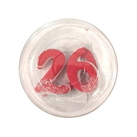 The year (this year 2026) dressed in a Christmas outfit