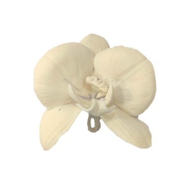 Phalaenopsis Orchid Edible Flower Decoration - NON EDIBLE in EU