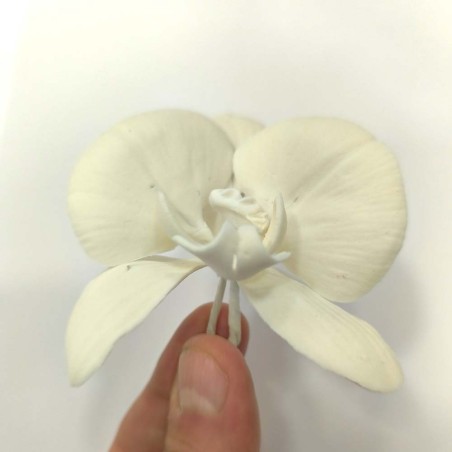 Phalaenopsis Orchid Edible Flower Decoration - NON EDIBLE in EU