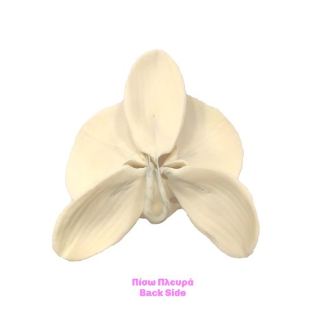 Ορχιδέα Phalaenopsis Διακοσμητικό Ζαχαρόπαστας - ΜΗ ΒΡΩΣΙΜΟ στην ΕΕ