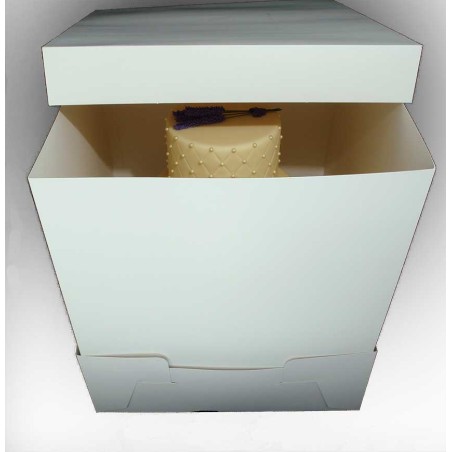 14 Inch Cake Box Extender (14 X 14 X 18 Inch)