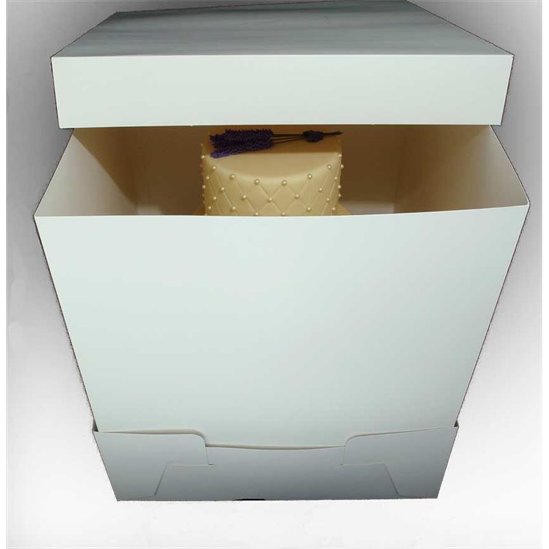 14 Inch Cake Box Extender (16 X 16 X 18 Inch)