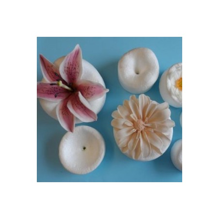 Επαναχρησιμοποιούμενα Φελιζόλ της Cel για φορμάρισμα λουλουδιών ζάχαρης