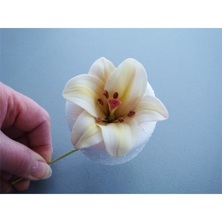 Επαναχρησιμοποιούμενα Φελιζόλ της Cel για φορμάρισμα λουλουδιών ζάχαρης