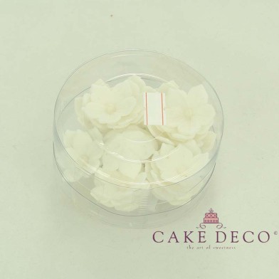 Cake Deco White Petunia with white pearl (30pcs)