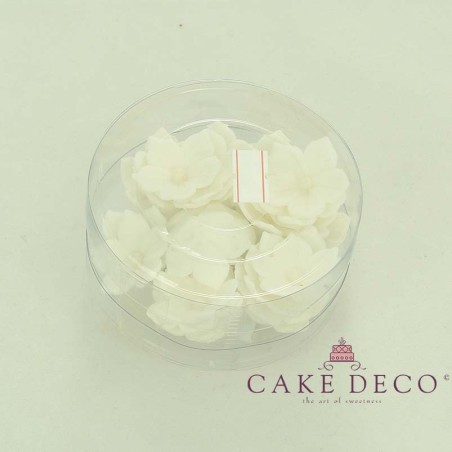 Cake Deco White Petunia with white pearl (30pcs)