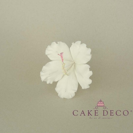 Cake Deco white Hibiscus