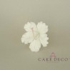Cake Deco white Hibiscus