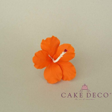 Cake Deco Orange Hibiscus 